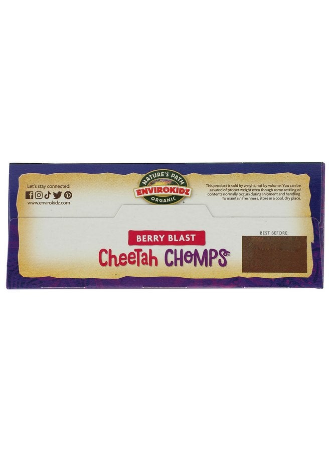 Envirokidz NATURES PATH CEREALS KIDS CHEETAH CHOMPS OR 10 OZ  - Image 5