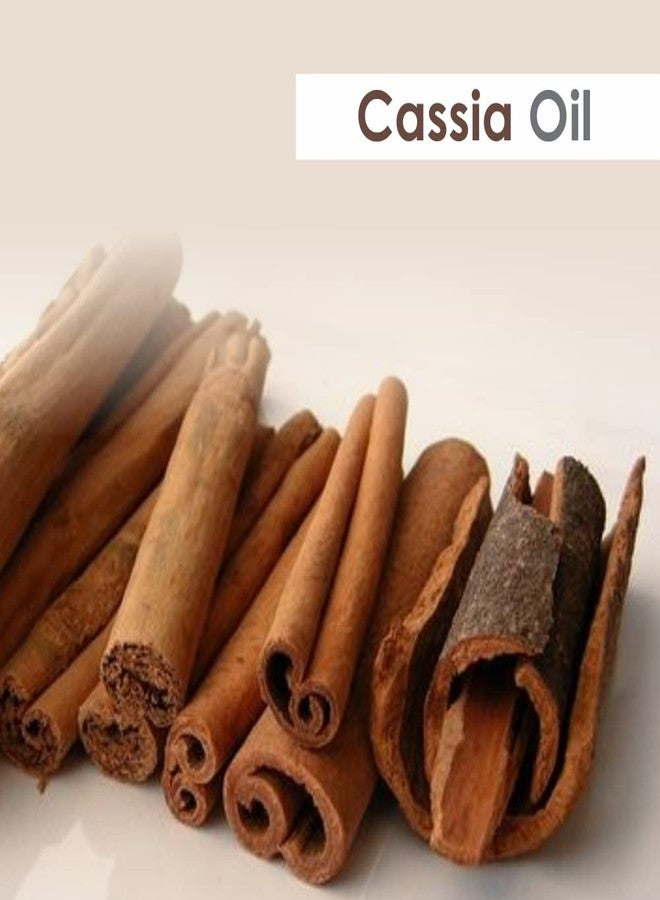 Crysalis Cassia (Cassia) Oil|100% Pure & Natural Undiluted Essential Oil Organic Standard For Skin & Haircare|Therapeutic Grade Oil, Healthy Skin & Hair-50ML With Dropper - Image 4