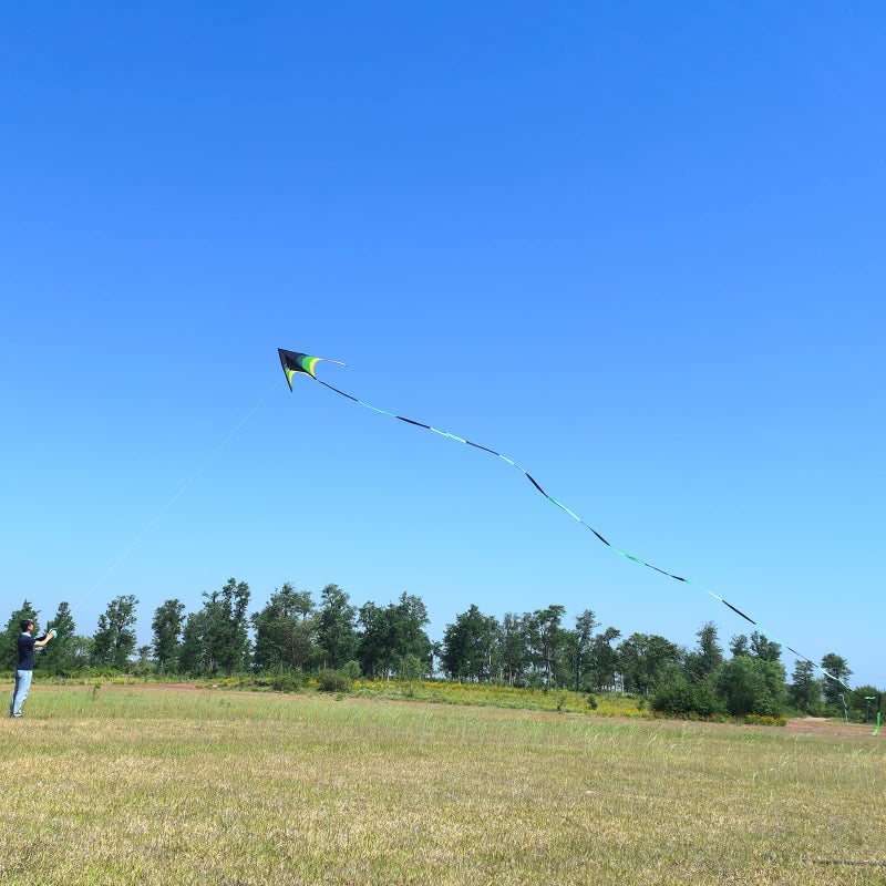 Flying Hoofer Gaint Kite for Adults Easy to Fly, 9ft Huge Delta Kite Come with 98ft Tail (Black and Green). - Image 3