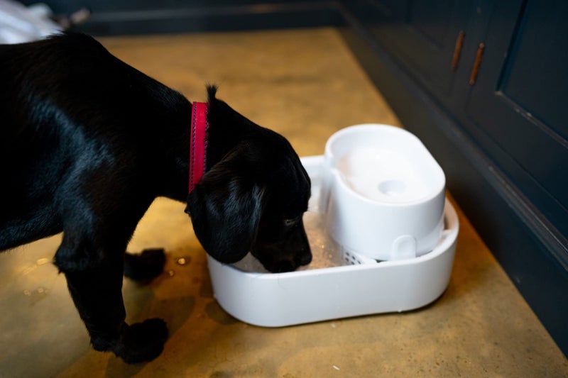 Dog Mate Large Fresh Water Drinking Fountain For Dogs And Cats - Image 5