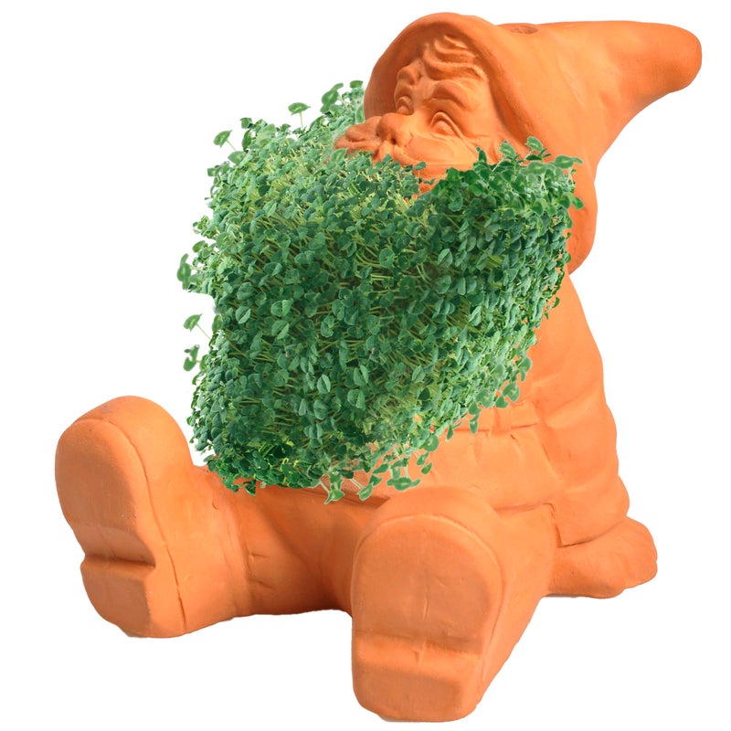 Chia Chia Pet Gnome with Seed Pack, Decorative Pottery Planter, Easy to Do and Fun to Grow, Novelty Gift, Perfect for Any Occasion  - Image 3