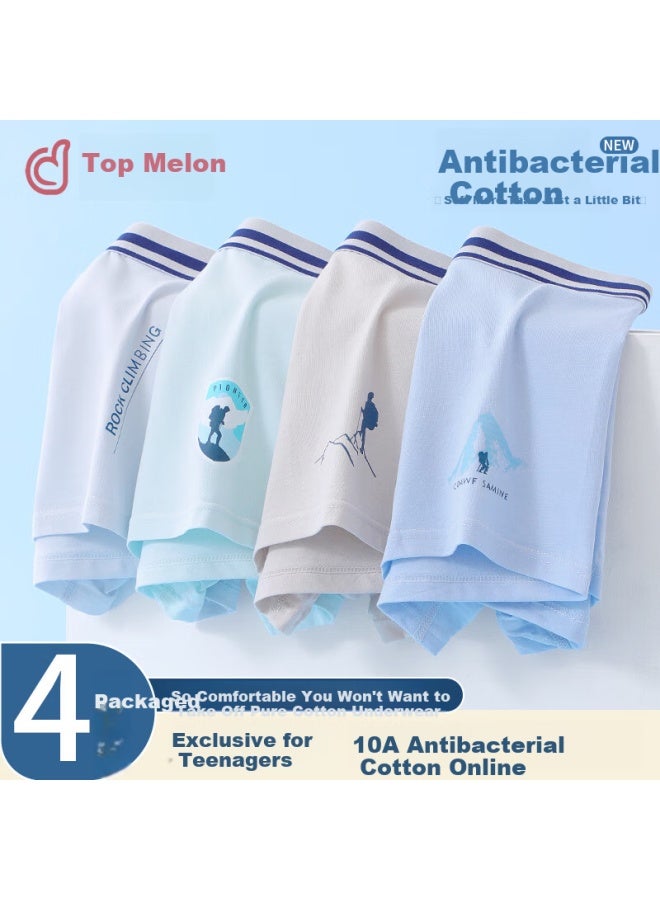 Top Melon Melon Teenage Underwear Development Period 12-16 Years Old Cotton Youth Junior High School High School Students Children Big Children Square Pants - Image 1