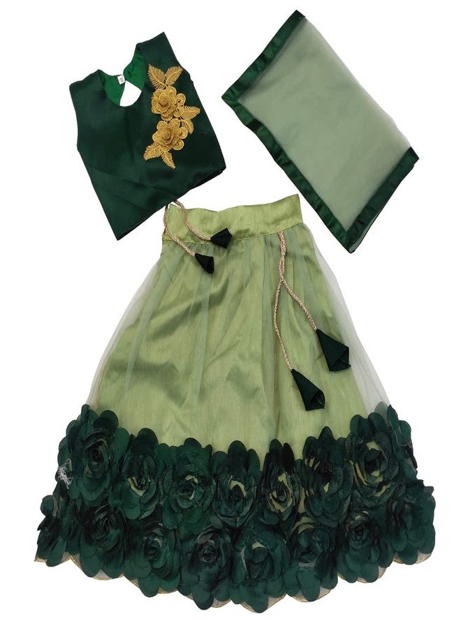 SR CREATION Girl's Heavy Bright Net & Ribbon Embroidery Readymade Lehenga Choli & Dupatta Set (Pista 7-8 YEARS) - Image 1