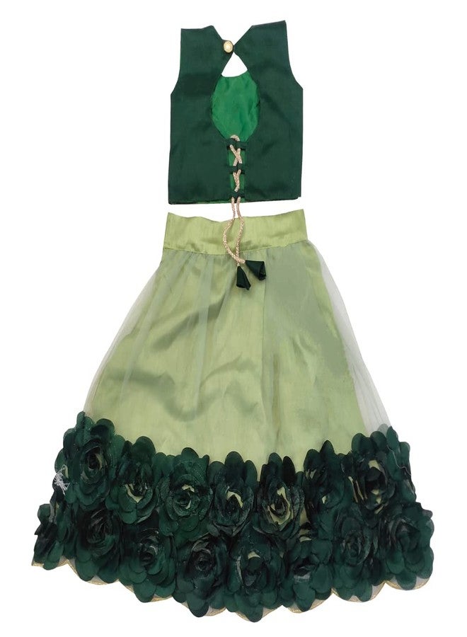 SR CREATION Girl's Heavy Bright Net & Ribbon Embroidery Readymade Lehenga Choli & Dupatta Set (Pista 7-8 YEARS) - Image 2