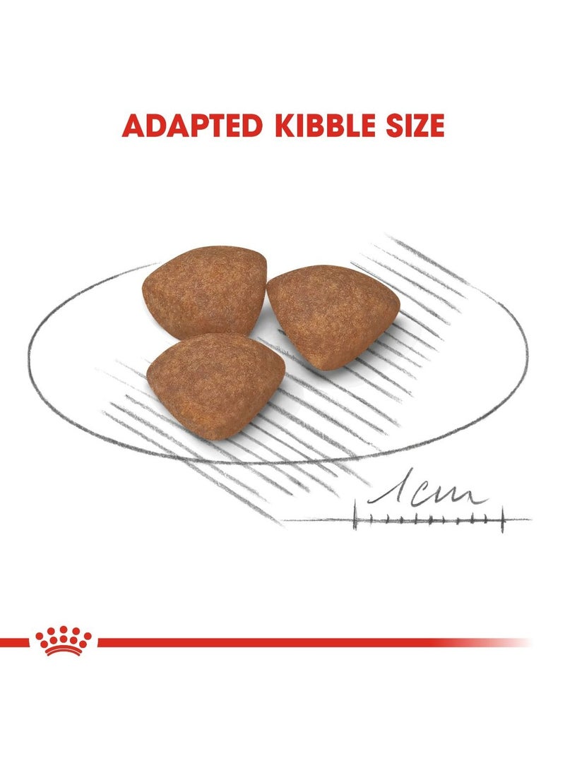 رويال كانين سايز هيلث نيوتريشن ميني بابي 8 كجم - Image 2