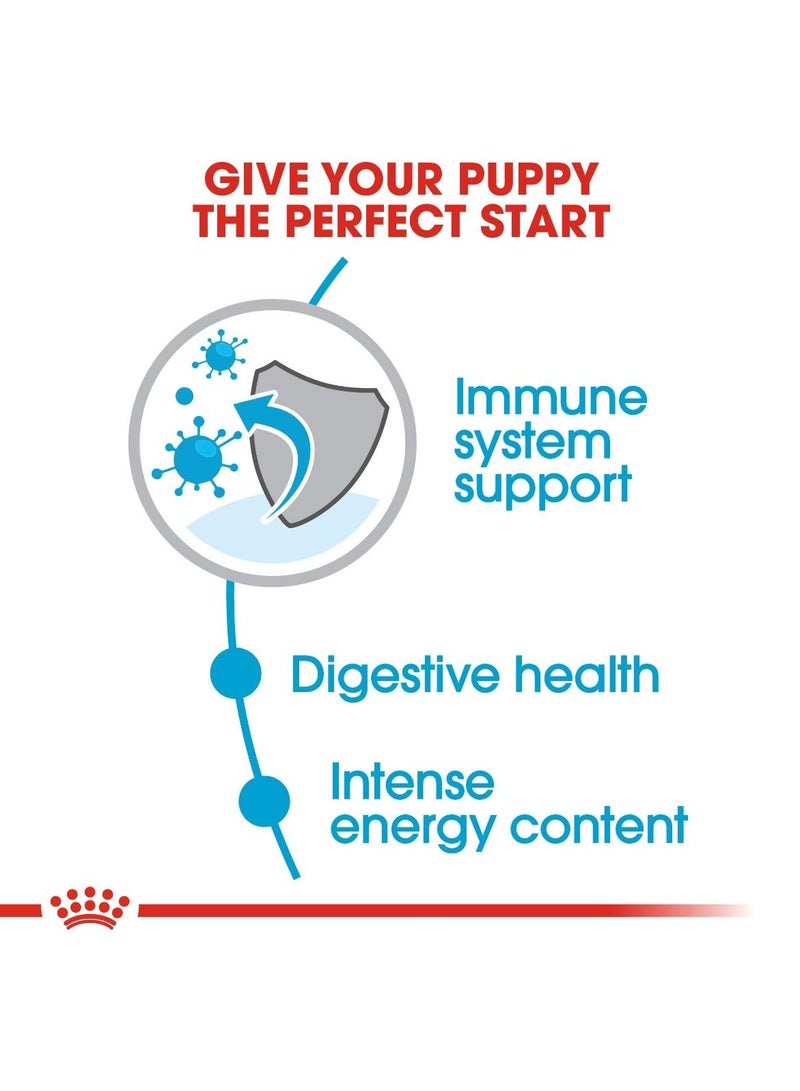 رويال كانين سايز هيلث نيوتريشن ميني بابي 8 كجم - Image 4