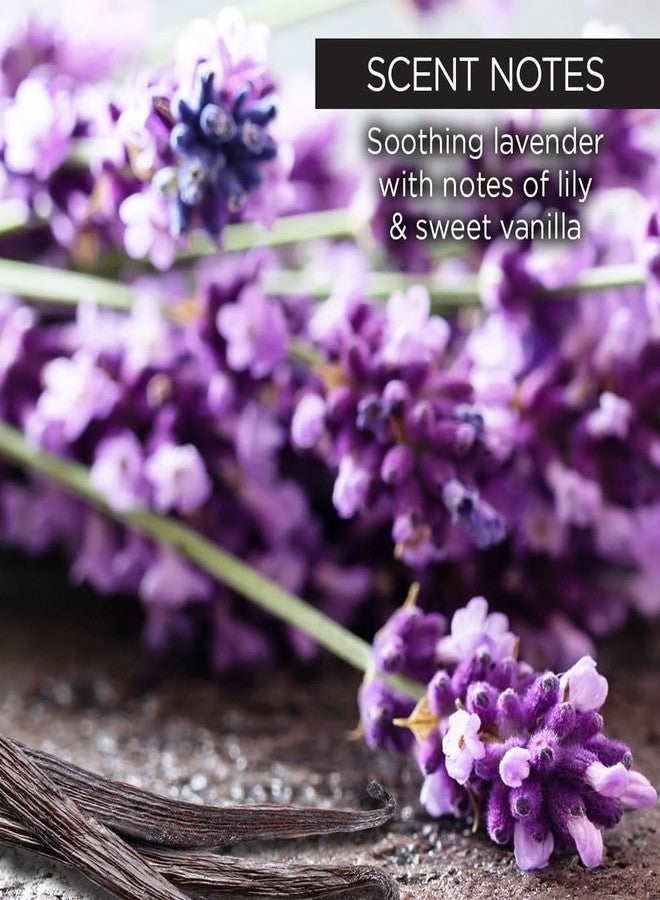 ويسك مقشر الجسم بالسكر واللافندر من ويش بيوتي - مقشر للجسم للنساء - مقشر السكر البني مع التوت، والصبار، وزبدة الشيا - لطيف على جميع أنواع البشرة - خالٍ من البارابين والكبريتات - 227 غرام - Image 5