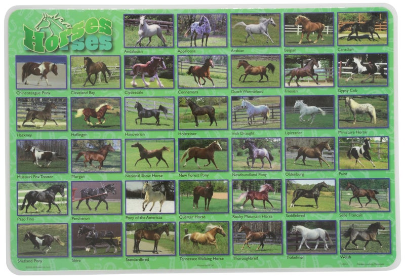Painless Learning Popular Horses Placemat