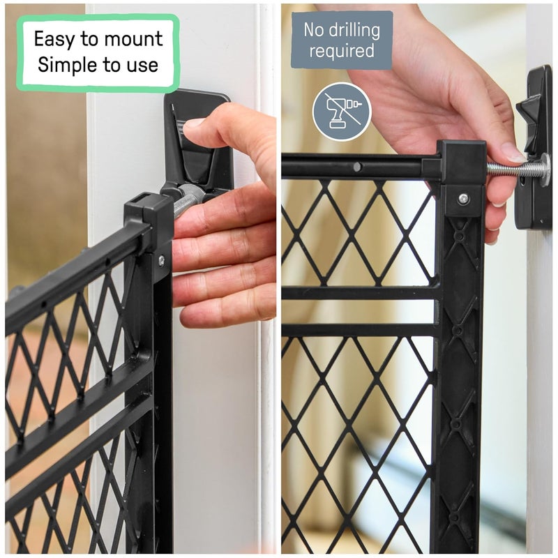 Ingenuity Doorway 42W Series Dog and Baby Gate Indoor Outdoor Wont Rust or Fade Fits 2342 Openings 24 Tall