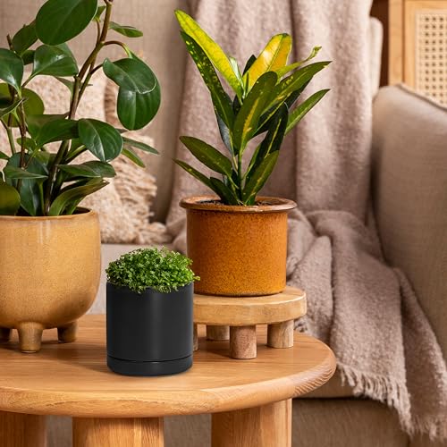 D'vine Dev 3.5 Inch Ceramic Planter Pot with Drainage Hole and Saucer, Indoor Cylinder Round Planter Pot, Black, 94-O-A-2 - Image 4