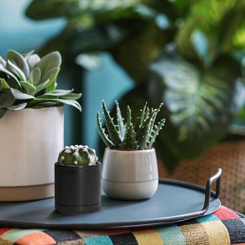 D'vine Dev 3.5 Inch Ceramic Planter Pot with Drainage Hole and Saucer, Indoor Cylinder Round Planter Pot, Black, 94-O-A-2 - Image 5