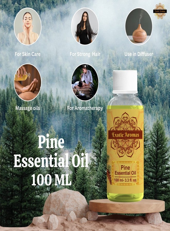 Exotic Aromas Pine Essential Oil,100 Ml - Image 2