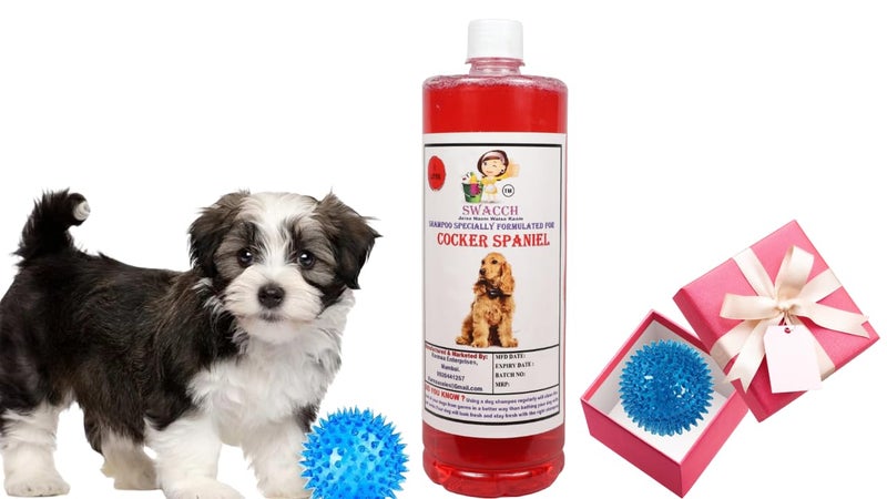 swacch Shampoo | Puppy Safe Shampoo | PH Balanced | Ditch to Itch for Cocker Spaniel Dog Shampoo 1 Litre (Strawberry) + Spike Ball Chew Toy Combo Pack - Image 1