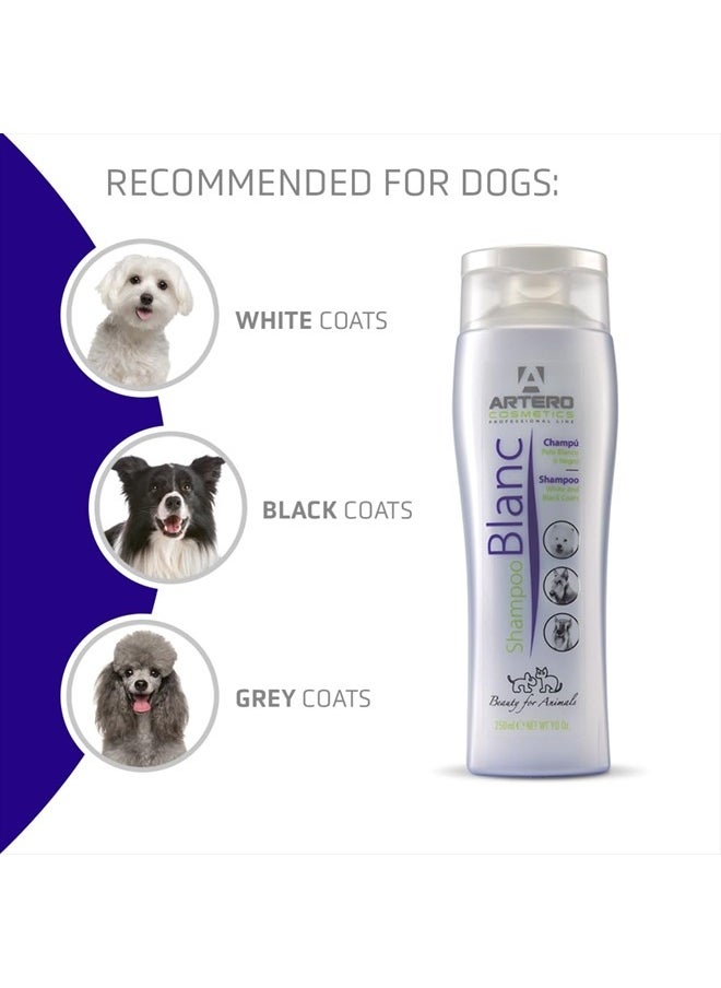 ARTERO Artero Blanc. Whitening Shampoo for White Dogs and Black Dogs  - Image 4