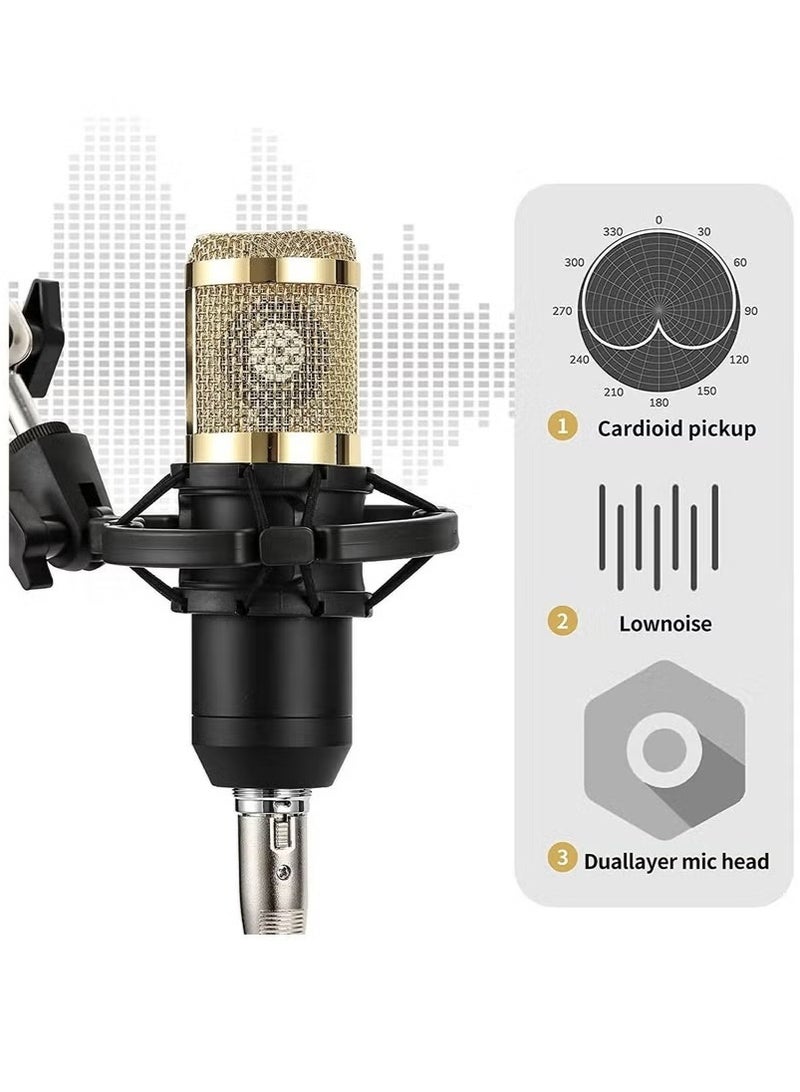 Professional Condenser Microphone With V8S Live Sound Card And Studio Recording Broadcasting Set Black/Gold - Image 2