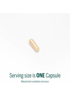 Genestra Brands D.I.M. | Diindolylmethane (D.I.M.) Formulation | 60 Capsules  - Image 3