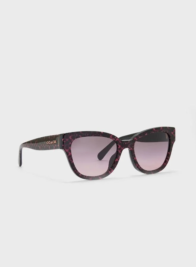 COACH 0Hc8379U Oversized Sunglasses