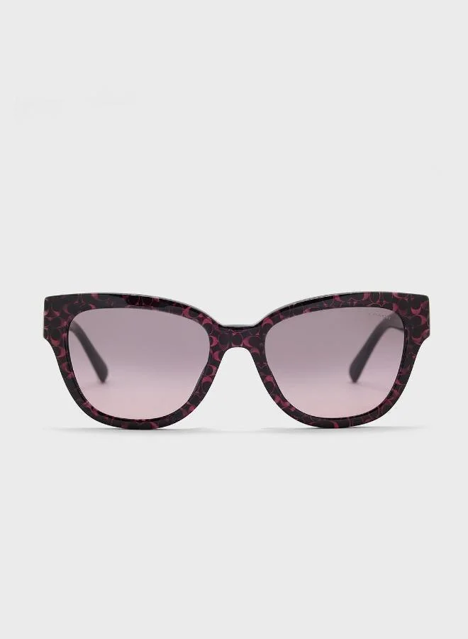 COACH 0Hc8379U Oversized Sunglasses