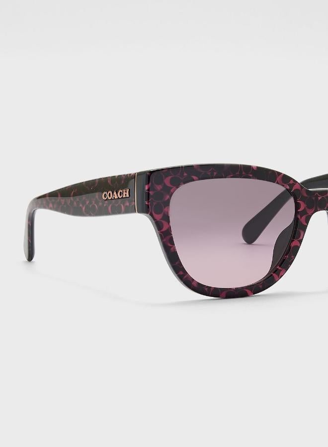 كوتش نظارات شمسية كبيرة الحجم - Image 4