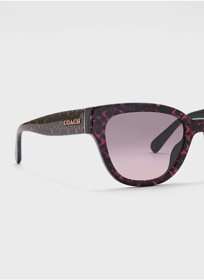 COACH 0Hc8379U Oversized Sunglasses