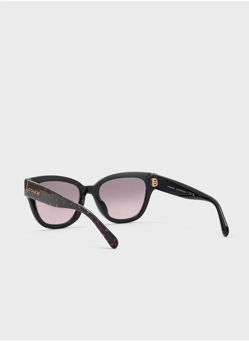 COACH 0Hc8379U Oversized Sunglasses