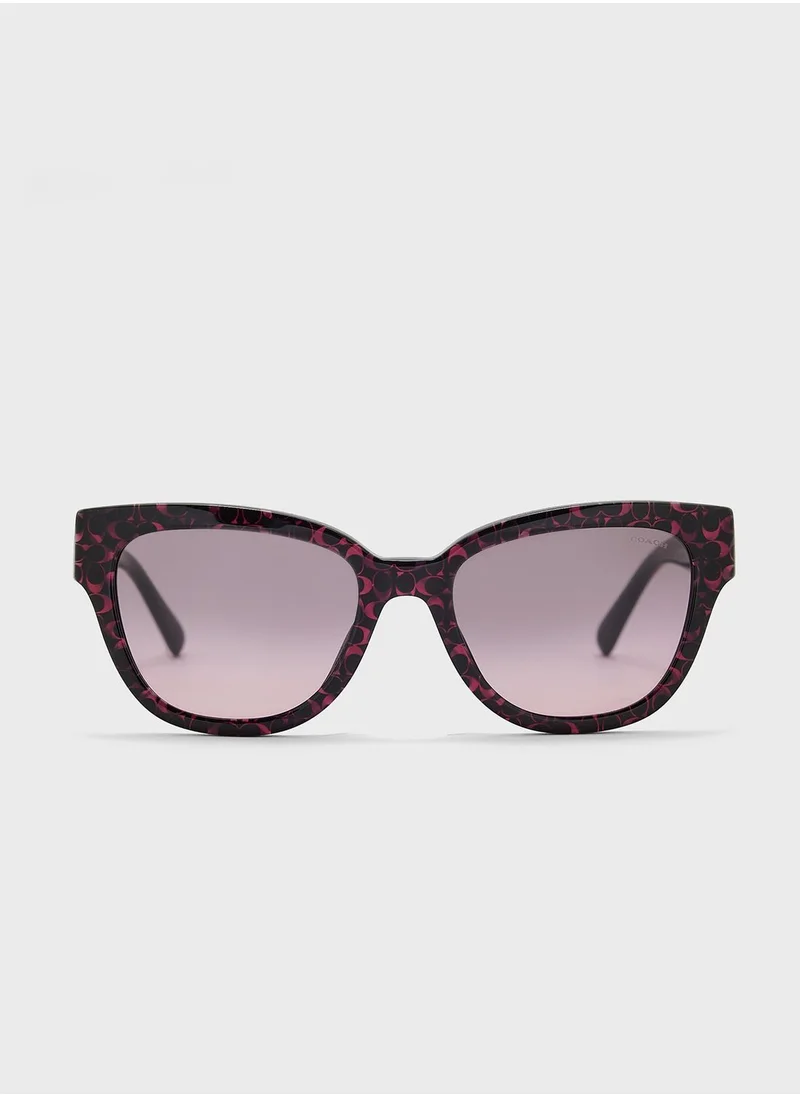 COACH 0Hc8379U Oversized Sunglasses