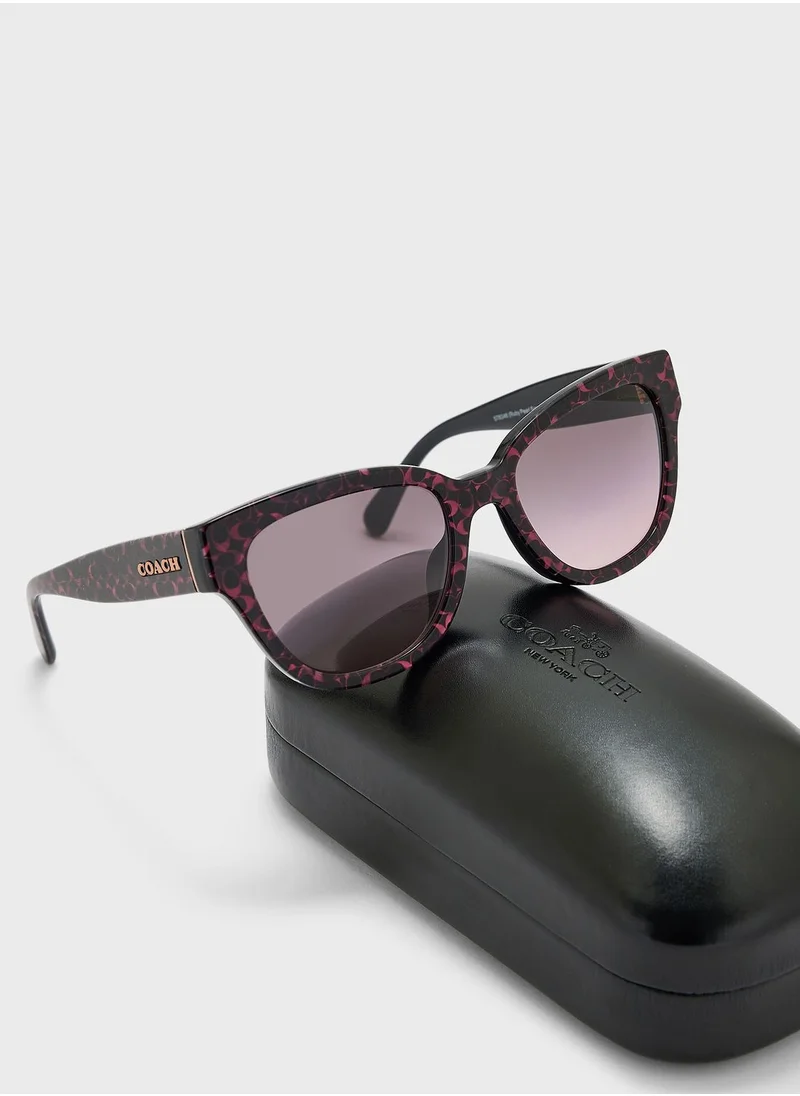 COACH 0Hc8379U Oversized Sunglasses