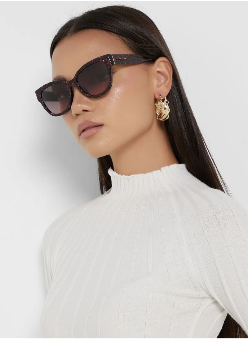 COACH 0Hc8379U Oversized Sunglasses