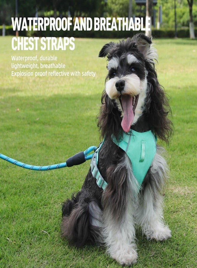 مايل هاي لايف سرج كلاب Mile High Life بدون شد مع شريط عاكس، سرج خفيف الوزن قابل للتعديل وسهل الارتداء للكلاب الصغيرة والمتوسطة والكبيرة للمشي والجري والتدريب (أخضر، مقاس M، محيط الصدر 18-25 بوصة) - Image 4