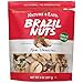 Nature's Eats Natures Eats Raw Brazil Nuts  Whole Unsalted Superfood Snack from Brazil  Heart Healthy Keto Vegan  High in Selenium and Protein  Perfect for Baking Trail Mix or Snacking 8 oz - Image 2