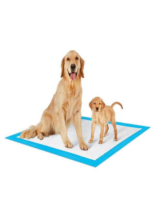 SO PHRESH X-Large Leak Guard Quilted Potty Pads Count of 50 - Image 3