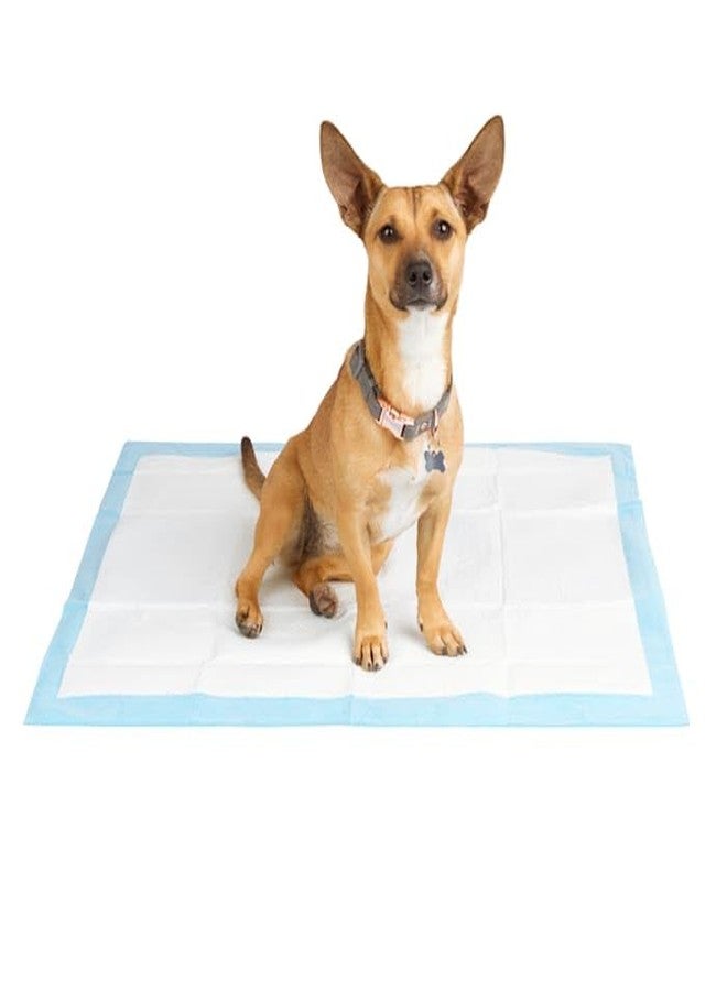 SO PHRESH X-Large Leak Guard Quilted Potty Pads Count of 50 - Image 5