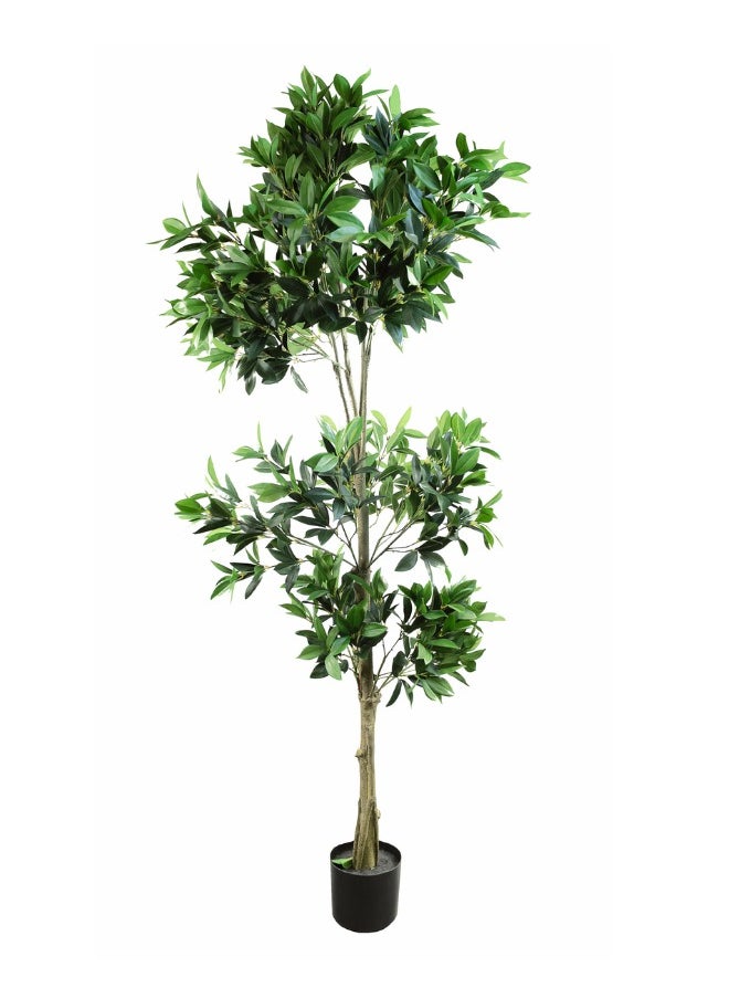 Gulf Flowers - Gulf Flowers 183cm Artificial Shikibia Tree - Image 1