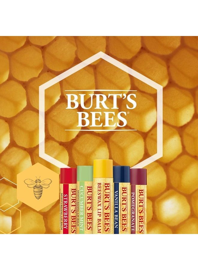 Burt's Bees بلسم شفاه شمع العسل مع فيتامين E ونعناع، 0.15 أونصة - Image 3