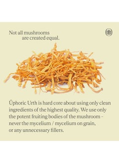 Uphoric Urth Cordyceps Mushroom Extract Double Extracted Fruitbody Mushroom Tincture ; Natural Support For Stamina Endurance Oxygen Uptake Cardiac Function Respiratory Health (60 Servings)  - Image 3