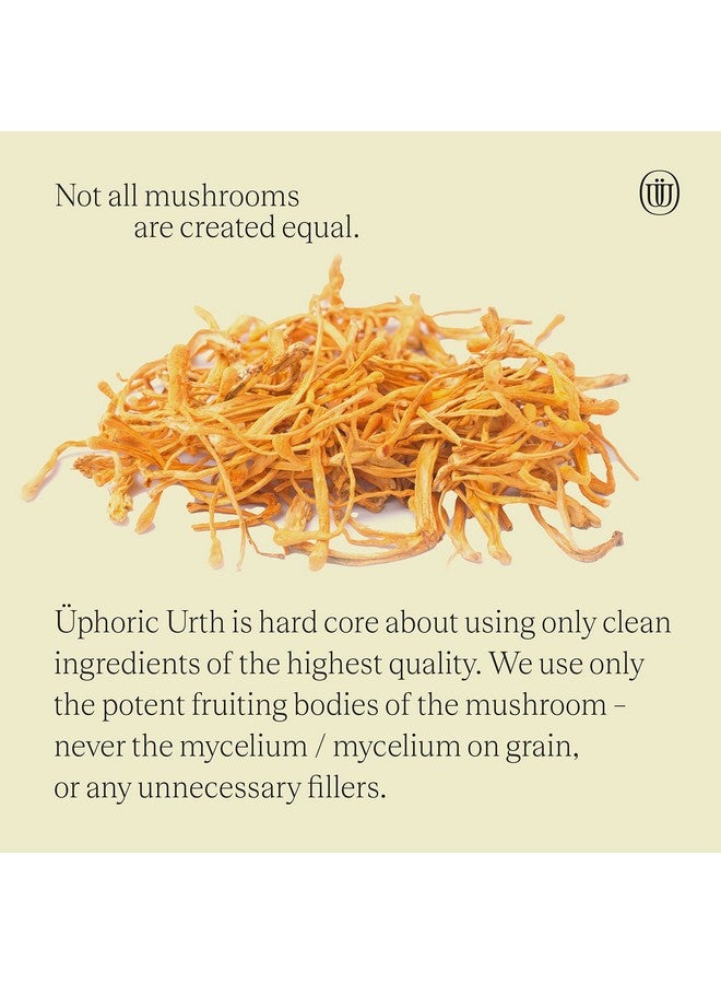 Uphoric Urth Cordyceps Mushroom Extract Double Extracted Fruitbody Mushroom Tincture ; Natural Support For Stamina Endurance Oxygen Uptake Cardiac Function Respiratory Health (60 Servings)  - Image 3