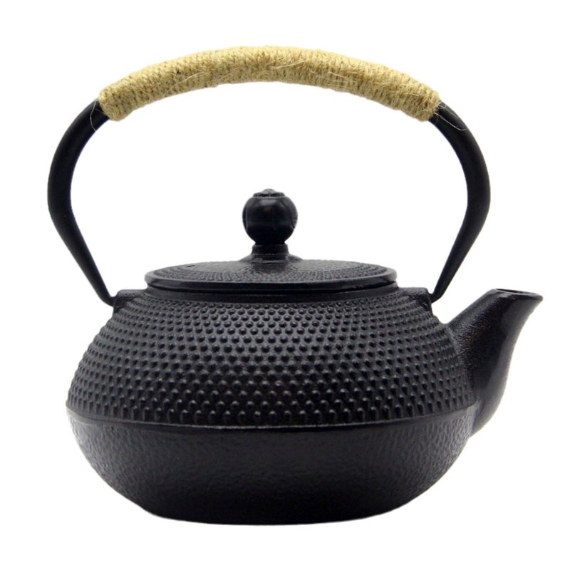SECHUDO Japanese Tetsubin Cast Iron Teapot Tea Kettle pot with Stainless Steel Infuser for Stovetop Safe Coated with Enameled Interior (Black, 27.1oz) - Image 1