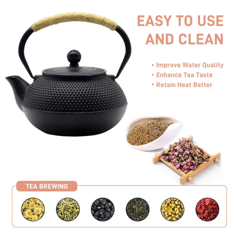 SECHUDO Japanese Tetsubin Cast Iron Teapot Tea Kettle pot with Stainless Steel Infuser for Stovetop Safe Coated with Enameled Interior (Black, 27.1oz) - Image 3