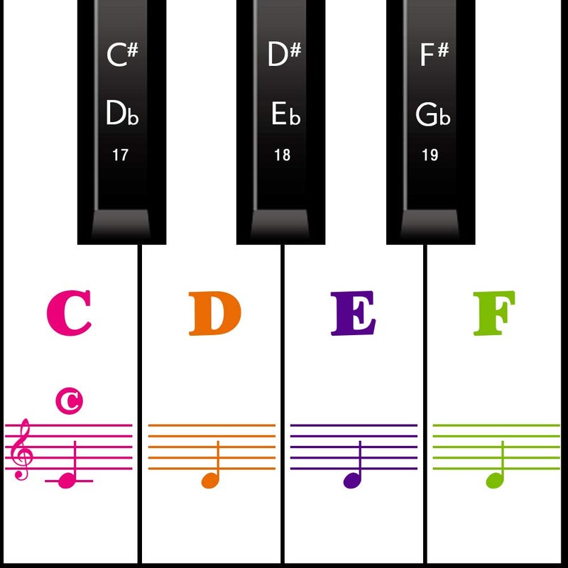 MUYOS Removable Piano Sticker Labels â€“ Piano Keyboard Stickers for Beginners, Reusable & Protective Piano Key Labels, Piano Note Stickers Overlay for Full Size Pianos (Sticker-FullColor) - Image 1