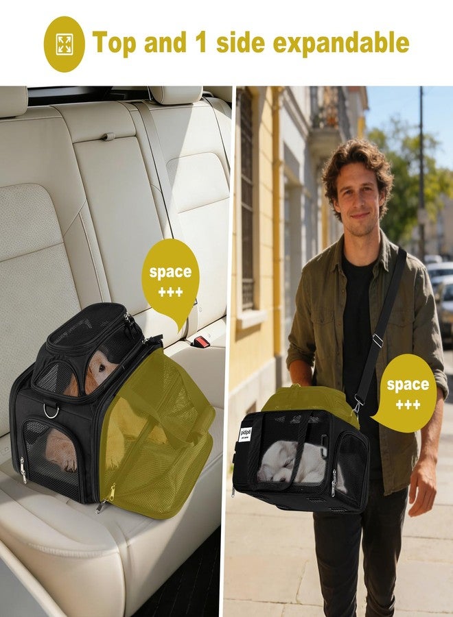 pidipiti 17x11x9.5 Alaska Hawaiian Southwest Airline Approved top and 1 Side Expandable pet Carrier for Extra-Small Dog/Small cat up to 5 lbs - Image 4