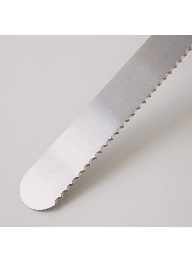 ألبرتو ملعقة مسح ستانلس ستيل 39*3.7*2سم، كريمي - Image 3