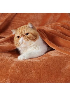 Bedsure Bedsure Burnt Orange Throw Blankets Fleece Blanket Throw Blanket Mango - 300GSM Soft Lightweight Plush Cozy Blankets for Bed, Sofa, Couch, Travel, Camping  - Image 2