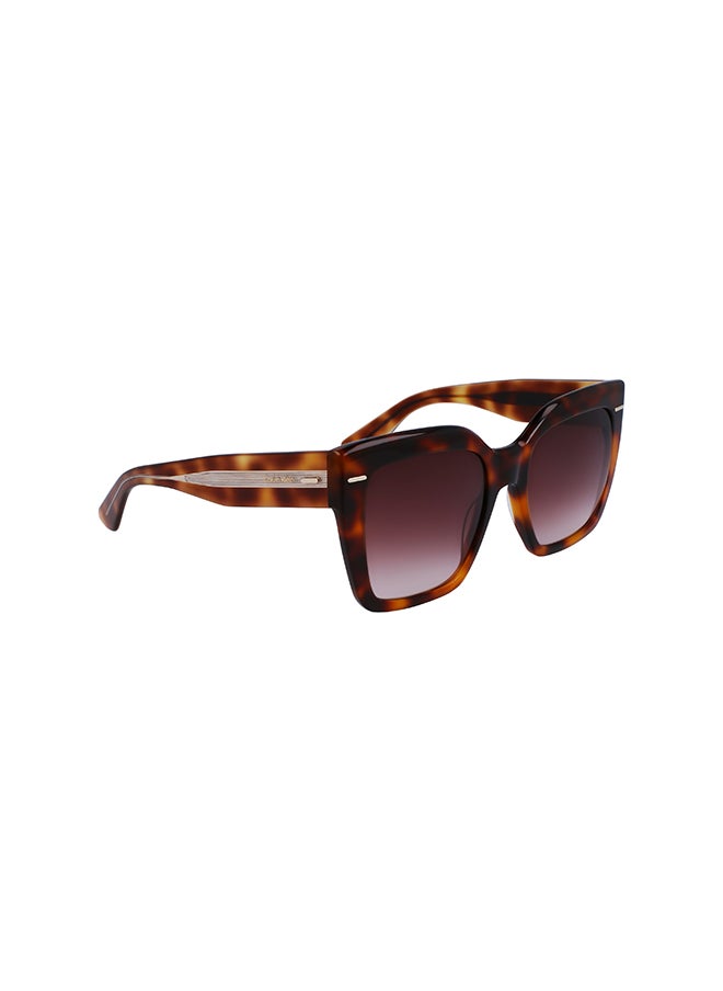 CALVIN KLEIN Women's Rectangular Sunglasses - CK23508S-220-5420 - Lens Size: 54 Mm  - Image 1