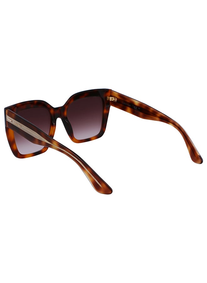 CALVIN KLEIN Women's Rectangular Sunglasses - CK23508S-220-5420 - Lens Size: 54 Mm  - Image 3