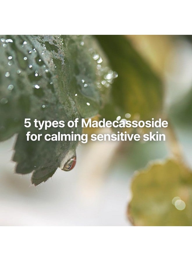 مجموعة هدايا Calming Line - منتجات كورية أساسية للعناية بالبشرة للترطيب اليومي مع تونر ومصل وكريم، آمنة على البشرة المعرضة لحب الشباب والحساسة، نباتية وخالية من القسوة - Image 4