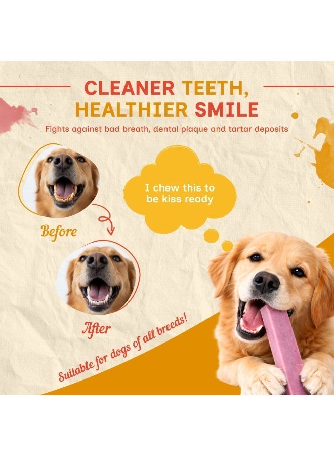PUPRAZY Yak Cheese Himalayan Dog Chew Bars- Blueberry Flavor| All natural, Long-lasting Veg Dental dog treat Antioxidant bone - Image 4