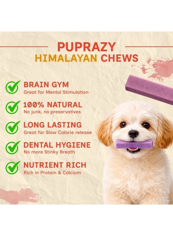 PUPRAZY Yak Cheese Himalayan Dog Chew Bars- Blueberry Flavor| All natural, Long-lasting Veg Dental dog treat Antioxidant bone - Image 2