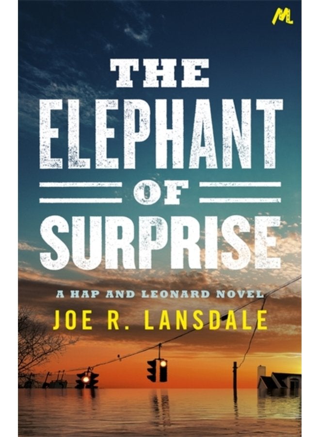 The Elephant of Surprise - Paperback