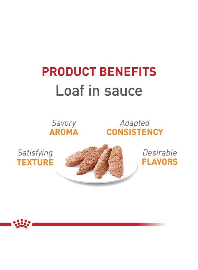 Royal Canin Feline Care Nutrition Hair & Skin Care Loaf in Sauce Canned Cat Food, 5.1 oz can (24-count) - Image 2