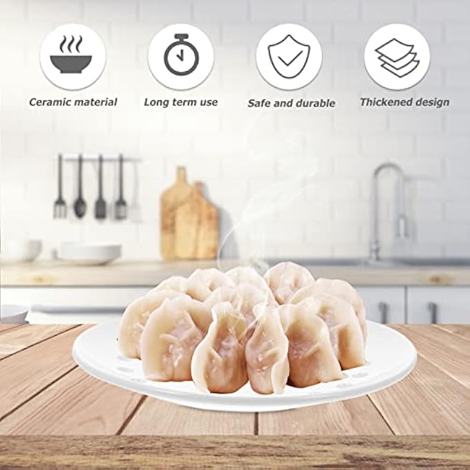 طبق بخار سيراميكي، طبق بخار سيراميكي للطعام، طبق بخار خزفي بفتحات، صينية بخار سيراميكية، كعكة زلابية، قدر بخار لطهي المأكولات البحرية، رف بخار للخضروات 20 سم - Image 5